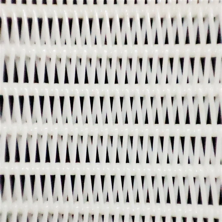 Polyester Wire Mesh For Paper Drying